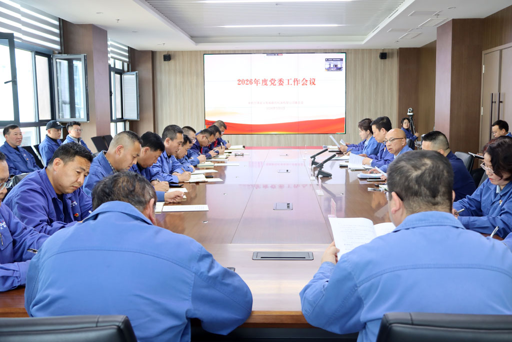 党委工作会议 党委工作会议